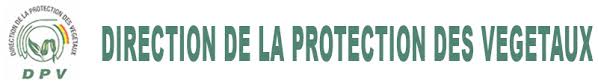 logo de la dpv
